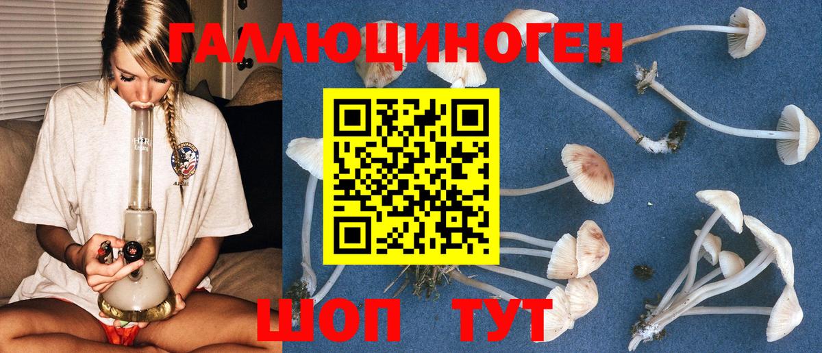 наркота  Псилоцибиновые грибы Psilocybine cubensis  Вход с VPN  Красногорск  Псилоцибиновые грибы прущие грибы 